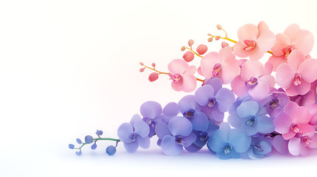 pink and blue orchid flower on white background with copy spaceの写真素材