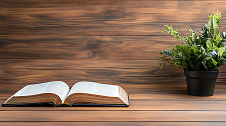 Open book and plant on wooden background. Back to school concept.の写真素材