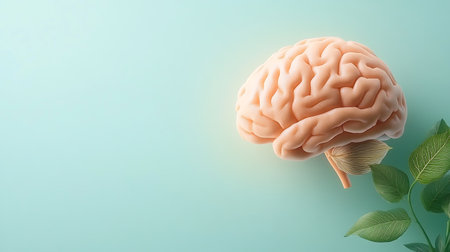 Human brain and green leaves on blue background. 3D illustration.の写真素材