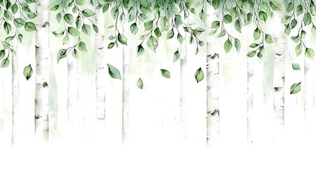 Watercolor birch forest background. Hand painted watercolor illustration.の写真素材