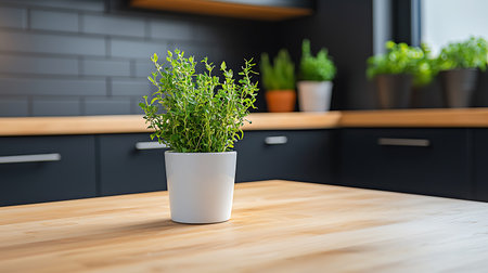 Green plant in white pot on wooden table in modern kitchen interior.の写真素材
