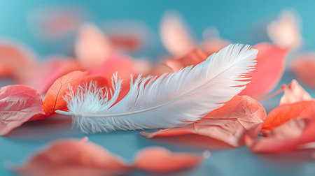 Feathers and petals on a blue background, soft focusの写真素材