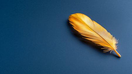 Yellow feather on a blue background. Flat lay, top view.の写真素材