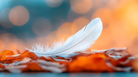 White feather on autumn leaves background with bokeh light effect.の写真素材