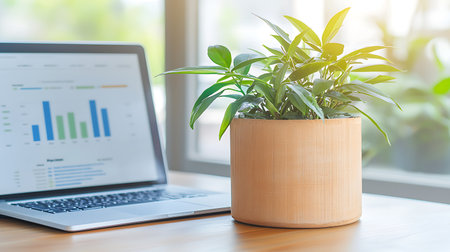 Laptop and plant pot on wooden table in coffee shop, stock photoの写真素材