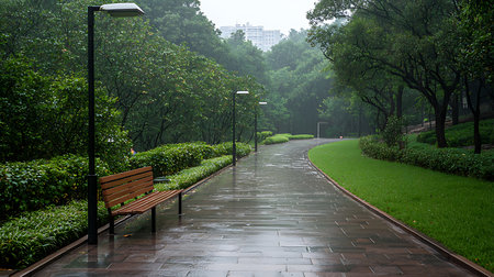 Walkway in the park with green trees and grass in the morningの写真素材