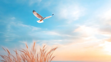 Seagull flying in the sky at sunset. 3d renderingの写真素材