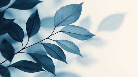 Leaves in soft color and blur style for background and texture.の写真素材