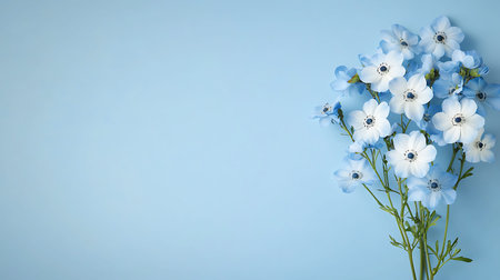 Bouquet of blue anemones on a blue background.