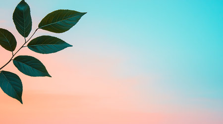 Green leaf on sunset sky background. Nature background. Banner with copy spaceの写真素材
