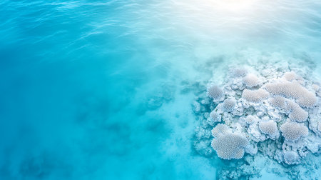 Underwater view of coral reef and sea water. Seascapeの写真素材