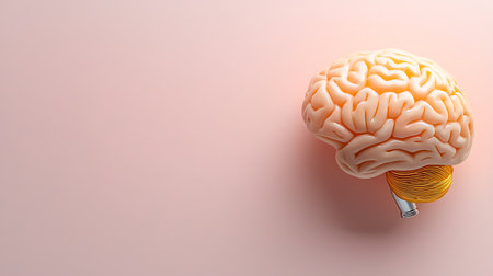 Human brain model on a pink background. 3d render. Copy spaceの写真素材
