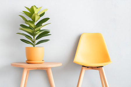 Yellow and orange chairs with green plant in pot on white wall backgroundの写真素材
