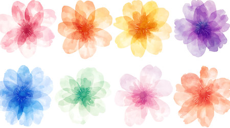Watercolor cherry blossom flowers set. Hand painted illustration. Isolated on white background.の写真素材