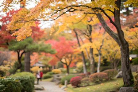 Blurred image of japanese garden at autumn season with bokehの写真素材