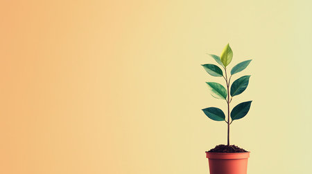 Green plant in a pot on a yellow background. Copy space.の写真素材