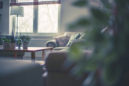Living room with sofa, coffee table and plants. Vintage filter.の写真素材