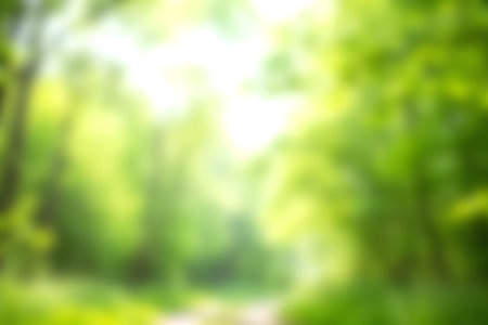 Beautifully blurred image of a tranquil forest pathway, inviting exploration through vibrant green trees and soft natural light, perfect for nature enthusiasts.の写真素材