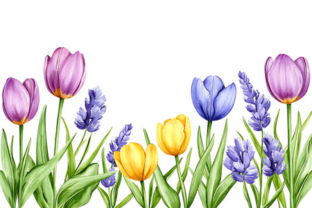 This image showcases a stunning arrangement of colorful tulips and lavender flowers, perfect for decorations. Ideal for spring-themed designs.の写真素材
