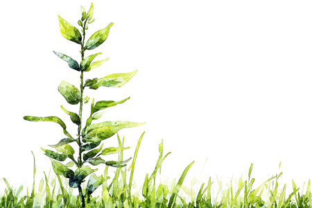 A vibrant illustration of a green plant rising from lush grass, showcasing nature's beauty in watercolor style, perfect for eco-friendly themes.の写真素材