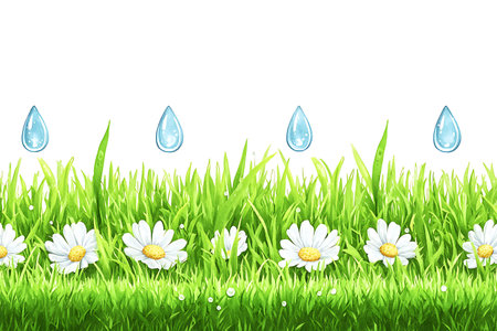 This vibrant illustration features fresh green grass and cheerful daisies adorned with sparkling water drops, perfect for spring-themed projects and nature-inspired designs.の写真素材