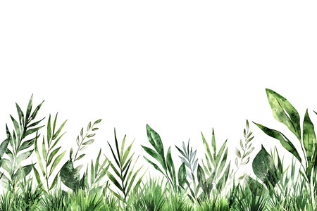 A beautiful illustration of lush green leaves and plants on a white background, perfect for stylish design projects and natural decor.の写真素材