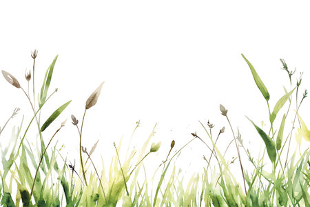 This watercolor illustration features delicate grass and wildflowers against a white background, perfect for evoking nature's beauty in various design projects.の写真素材