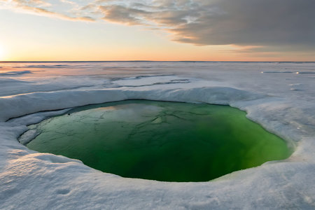 A captivating scene of a vibrant green waterhole surrounded by ice, showcasing the beauty of nature...