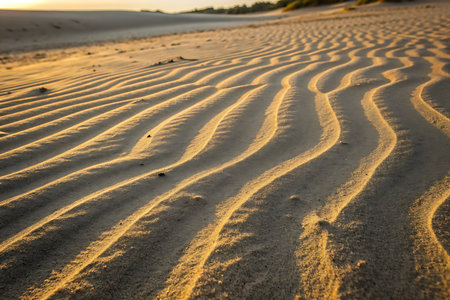Captivating patterns in desert sand showcase gentle ridges and warm golden light, highlighting nature's beauty and tranquility during sunset.の写真素材