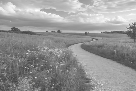 This serene image showcases a winding pathway through lush green fields under a dramatic cloudy sky,...