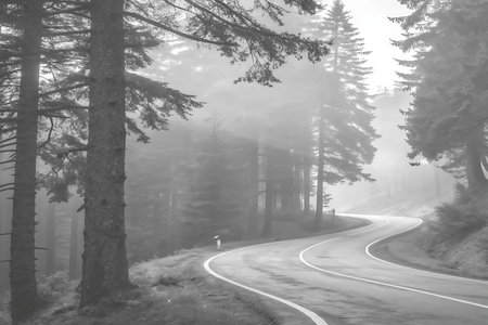 Captivating black and white image of a winding road embraced by fog and evergreen trees, evoking a...