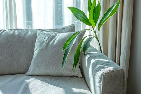 A tranquil living room scene showcasing a soft couch with plush cushions and a vibrant green plant. Natural light streams in through sheer curtains, creating a warm, inviting atmosphere perfect for relaxation.の写真素材
