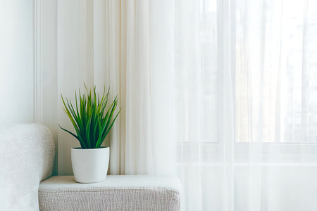A stylish indoor setting showcasing a potted green plant beside a bright window draped in sheer curtains, creating a serene atmosphere that enhances modern living.の写真素材