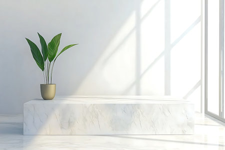 A serene and minimalist interior featuring a green plant in a stylish pot, positioned on a sleek marble ledge. The bright room is filled with natural light, creating a peaceful ambiance perfect for relaxation or contemplation.の写真素材