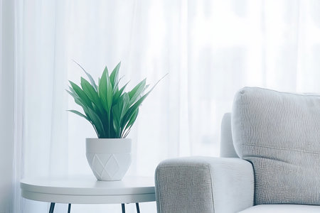 A serene indoor scene featuring a green plant on a modern table beside a light grey sofa, with soft natural light filtering through sheer curtains. Ideal for home decor inspiration.の写真素材