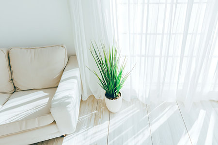 A bright and airy living room featuring light wood flooring and white drapes that filter natural sunlight. An indoor plant adds a fresh touch to the cozy atmosphere.の写真素材