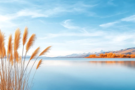 A serene blue lake reflects the gentle sky, framed by soft reeds and beautiful shoreline, creating a peaceful natural scene perfect for relaxation and inspiration.の写真素材