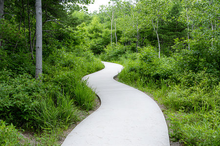 A winding pathway meanders through lush green vegetation and trees, inviting exploration and relaxation in a peaceful outdoor setting.の写真素材