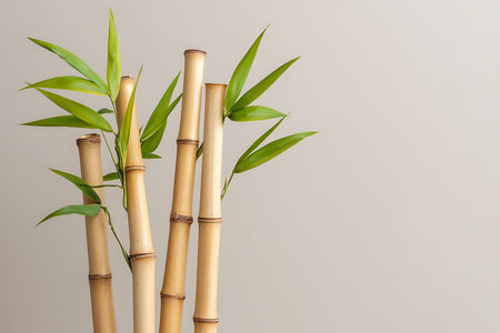 Bright and refreshing bamboo stalks with green leaves create a serene atmosphere in any setting. Perfect for adding a touch of nature to decor.の写真素材