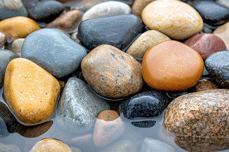 This image showcases a variety of smooth, colorful stones resting in shallow water on a riverbed, highlighting natural textures and vibrant colors.の写真素材