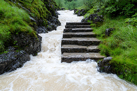 This captivating image showcases water flowing over stone steps, surrounded by vibrant greenery,...