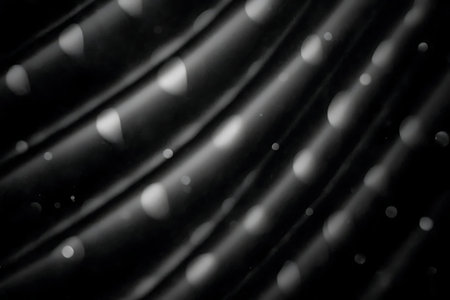 This elegant black and white image features soft curves and bokeh effects, creating a serene and...