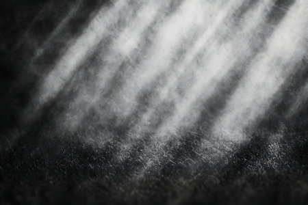 Soft light rays penetrate through a dense mist, creating a dramatic and ethereal atmosphere. The...