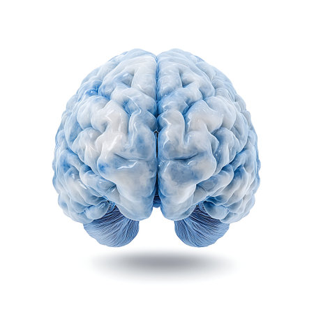 This detailed anatomical model of a human brain highlights intricate structures and soft blue tones....