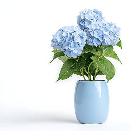 A stunning arrangement of blue hydrangea flowers in a stylish vase, perfect for brightening up any...