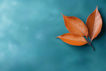 A stunning arrangement of three dry leaves on a vibrant turquoise background, perfect for showcasing...