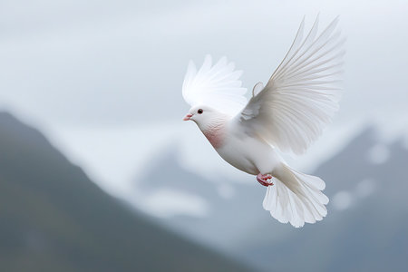 A stunning white dove in mid-flight against a serene cloudy backdrop, capturing the essence of peace and freedom in nature's beauty.の写真素材