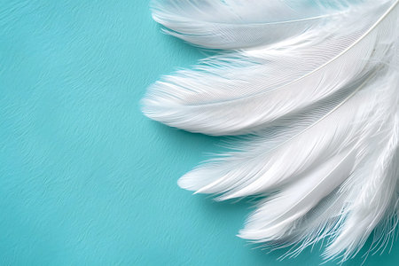 Delicate white feathers arranged on a soft blue surface create a calm and serene aesthetic. Ideal...