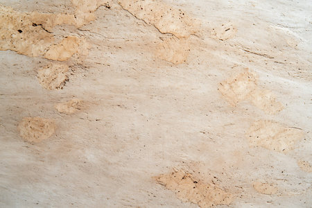This close-up image showcases a natural stone surface with distinct patterns and a gentle color...
