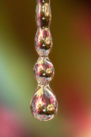 Beautiful waterdropの写真素材
